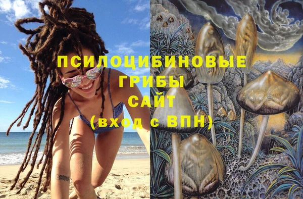 дмт Богородск