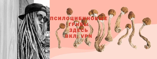 дмт Богородск