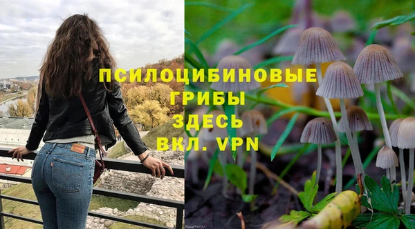 дмт Богородск