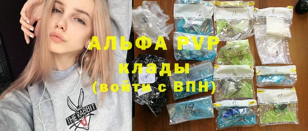 дмт Богородицк