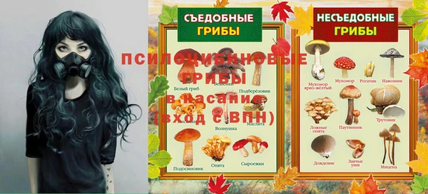 дмт Богородицк
