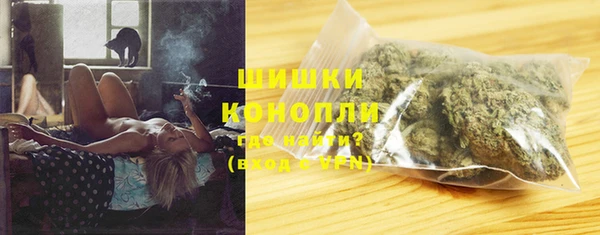 дмт Богородицк