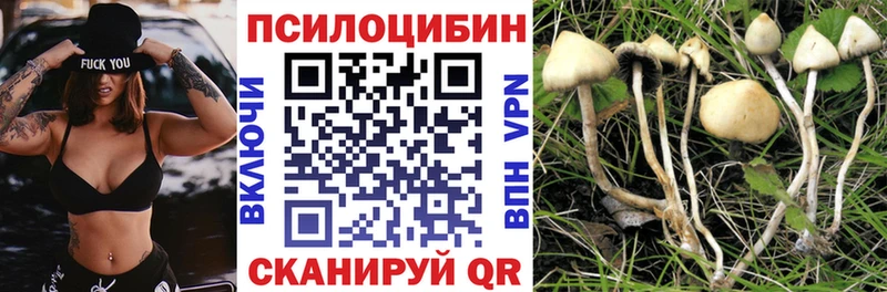хочу наркоту  Ялуторовск  Псилоцибиновые грибы Psilocybine cubensis 